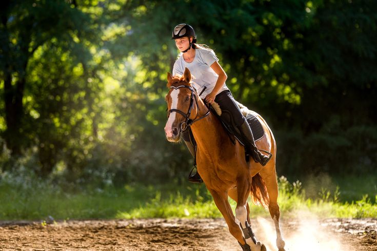 Mengenal Olahraga Berkuda Equestrian, Sejarah dan Jenisnya