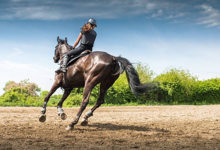 Definisi dan Filosofi Equestrian
