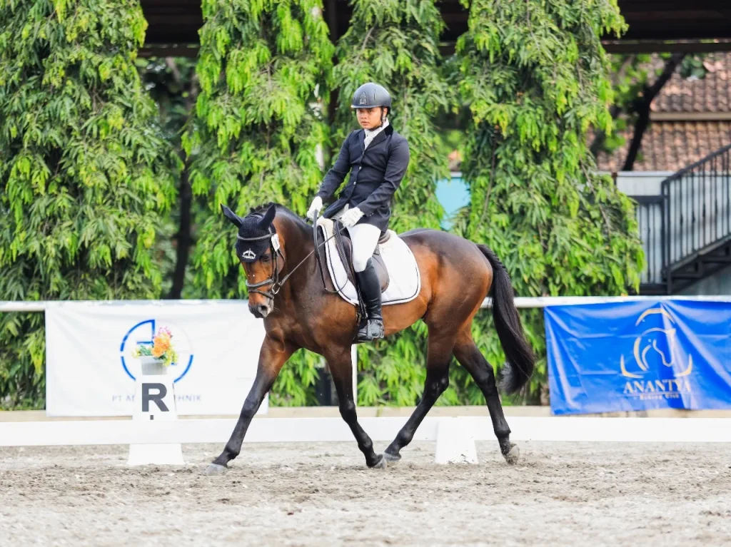 Seorang atlet berkuda melakukan latihan dressage bersama kuda cokelat di Anantya Riding Club.