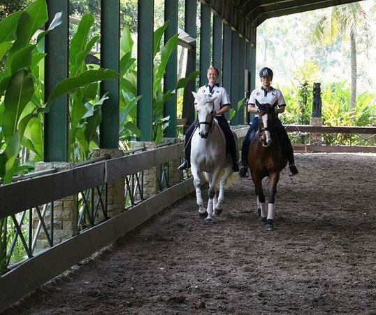 Dua penunggang kuda berjalan santai di jalur latihan indoor Arthayasa Stables & Country Club yang dikelilingi pepohonan hijau.