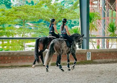 Dua penunggang kuda sedang berlatih bersama di arena indoor JJ Riding School dengan suasana hijau dan asri.