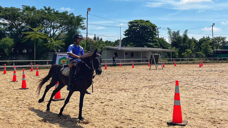 Seorang pengendara kuda melakukan latihan manuver di arena pasir terbuka JKL Horse Club menggunakan rintangan cone sebagai jalur latihan.
