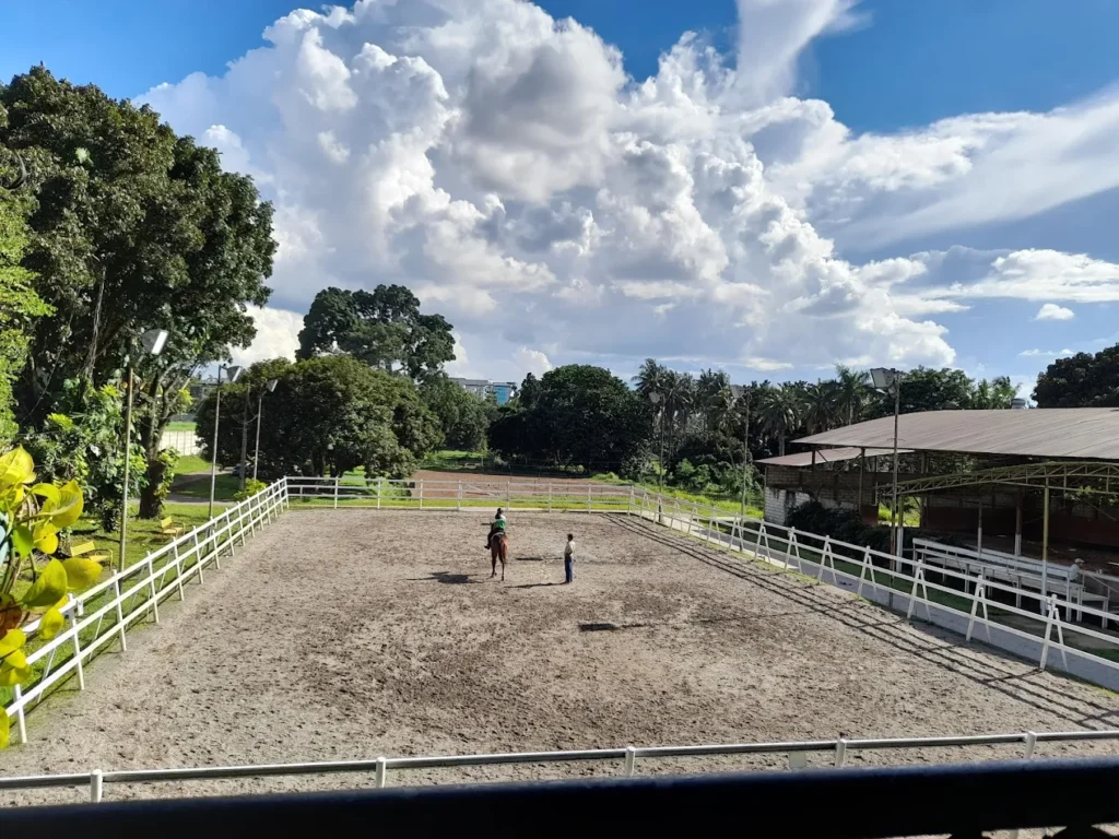 Area tempat les latihan berkuda yang luas di Pamulang Equestrian Centre dengan lintasan pasir dan pemandangan hijau yang menenangkan.